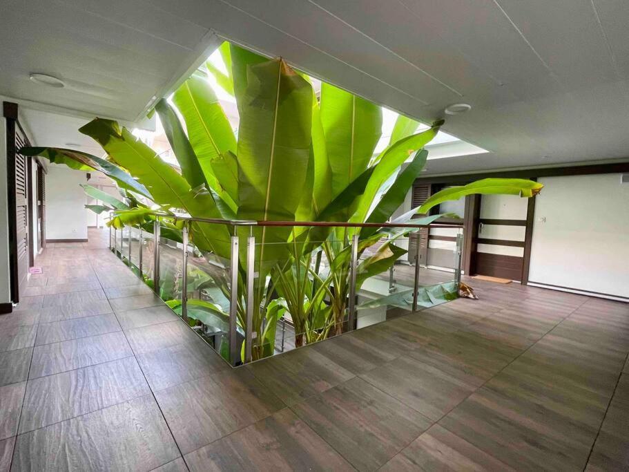 Superbe appartement, piscine, vue mer et montagnes Antibes Extérieur photo