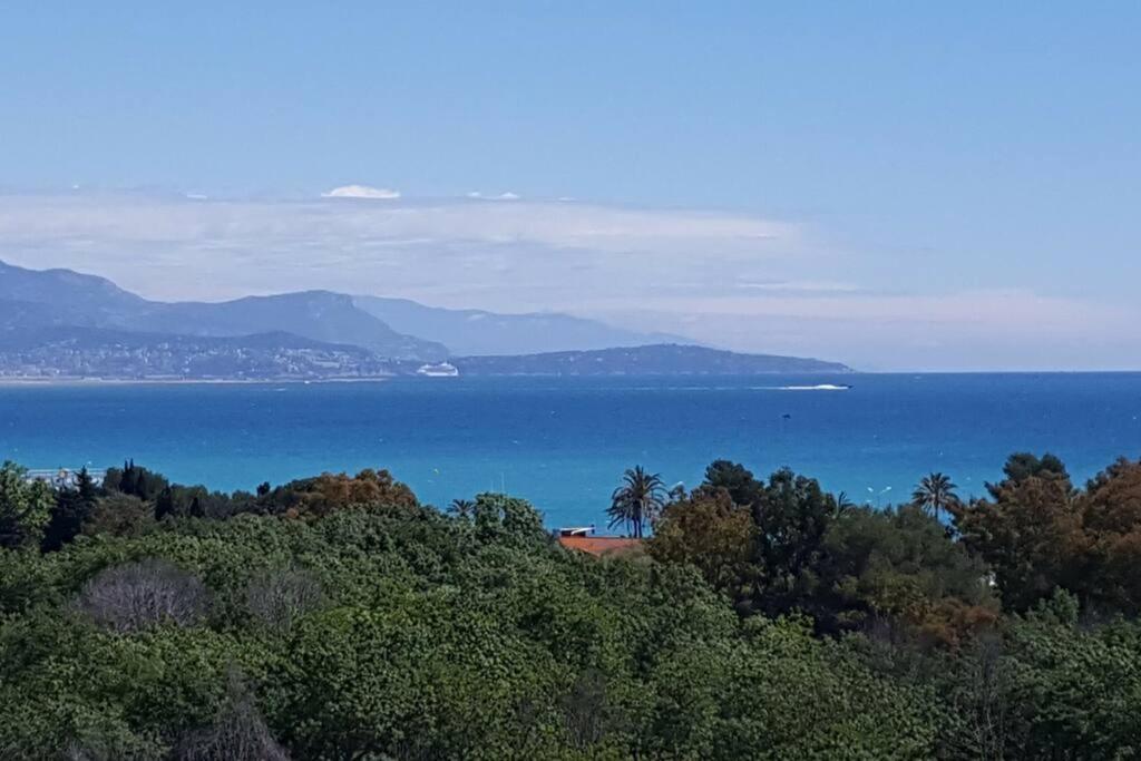 Superbe appartement, piscine, vue mer et montagnes Antibes Extérieur photo