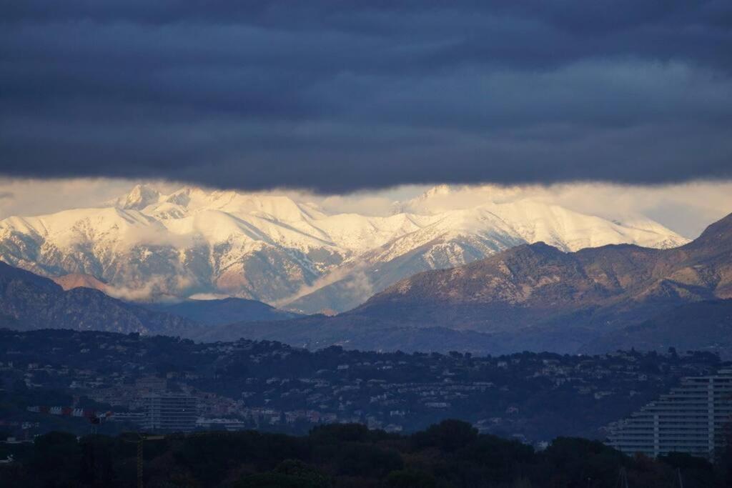 Superbe appartement, piscine, vue mer et montagnes Antibes Extérieur photo