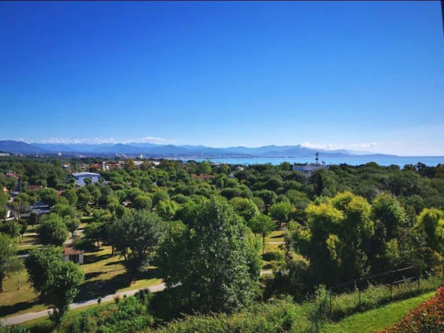 Superbe appartement, piscine, vue mer et montagnes Antibes Extérieur photo